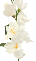 Gladiola kusová 52cm umelá biela