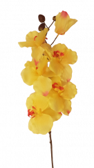 Orchidea Cattleya Žltá 72cm umelá