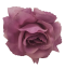 Ruža hlava kvetu O 10cm Purple umelá