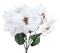 Mikulásvirág Poinsettia csokor x5 50cm fehér művirág