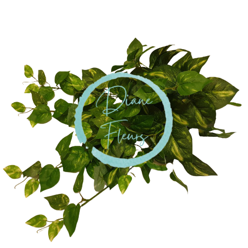 Decorazione ramoscello verde Pothos 59cm