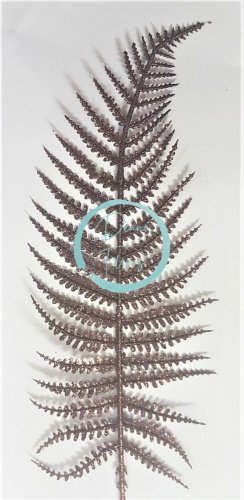 Vianočná dekorácia papraď zápich 70cm hnedá umelá