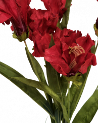 Šopek umetnih irisov 60cm rdeč