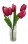 Šopek tulipanov x5 31cm roza