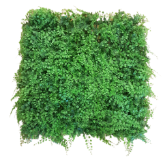 Dekorativna preproga iz umetne trave Fern 50cm x 50cm