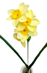 Umelý Narcis vetva 45cm sv. žltá