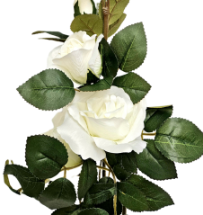 Artificial Roses Flower x6 88cm Cream