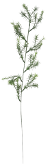 Dekorace Asparagus zeleň 60cm umělá