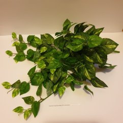 Dekorációs gally zöld Pothos 59cm