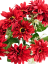 Buchet de Margarete x11 32cm rosu flori artificiale