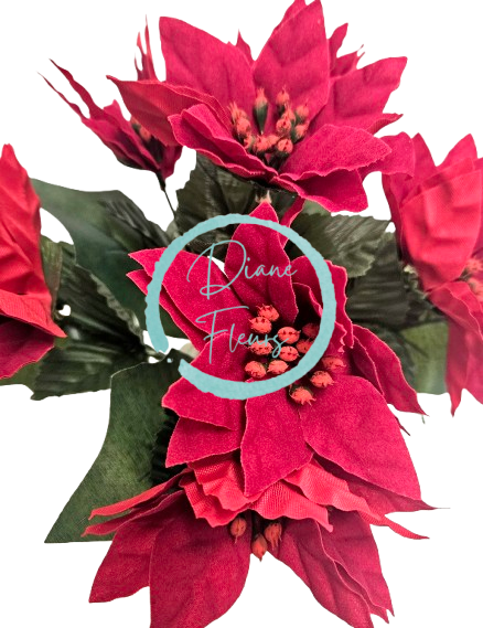 Poinsettia Poinzercia Vianočná ruža a Bobuľe kytica x7 26cm červená