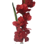 Komad Gladiola u vazi 78cm crveni umjetni