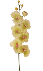 Künstliche Orchidee 70cm Hellgrün