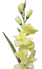 Gladiola kusová do vázy 78cm mint umělá