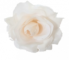 Cvetna glavica vrtnice O 10cm svetlo roza umetna