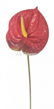 Qualität und schöne künstliche Blume Anthurium ideal für die Dekoration