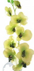 Luxus mesterséges orchidea x9 zöld 95cm szilikon, radír, művirág