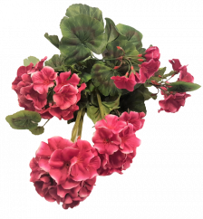 Künstliche Geranien (Pelargonien) Bush x9 Dunkel Pink 45cm