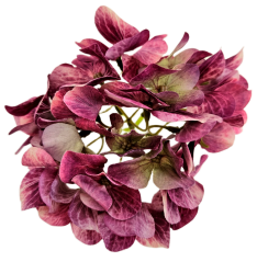 Hortenziafej 12cm művirág bordó