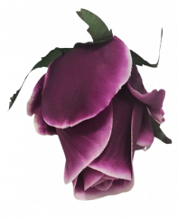 Ruža puk hlava kvetu O 8cm fialová umelá