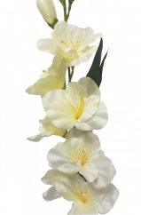 Gladiola kusová do vázy 78cm krémová umělá