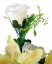 Umelá kytica ležatá ruže, ľalie a doplnky x18 74cm x 35cm žltá