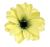 Clematis virágfej Ø 11cm világos zöld művirág