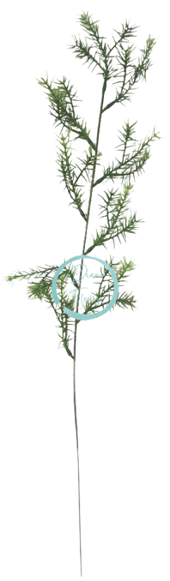 Dekorácia Asparagus zeleň 60cm umelá