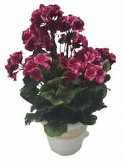Geranium muskátli edényben O 25cm x magasság 49cm sötét. rózsaszínű terheléselrendezés művirág