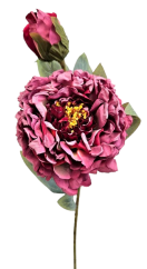 Posušena potonika Exclusive 1+1 66cm umetna bordo