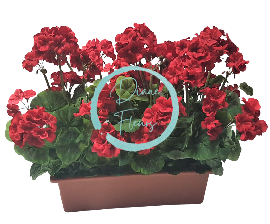Umělý Muškát Pelargonie v truhlíku 40cm x 35cm x výška 45cm červená