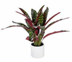 Künstliche Calathea im Keramiktopf 58cm