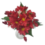 Margarétky kytica x10 32cm červená umelá