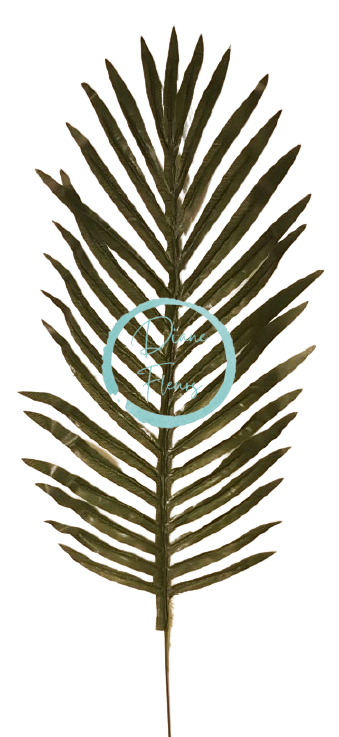 List palmový zelený 50cm umělý List palmový zelený 50cm umělý