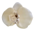 Orchidea hlava kvetu10cm x 8cm béžová umelá - cena je za balenie 24ks