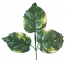 Dekorációs levél növényen x3 35cm zöld művirág