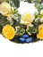 Pogrebni venec z umetnimi vrtnicami in koruznice 60cm