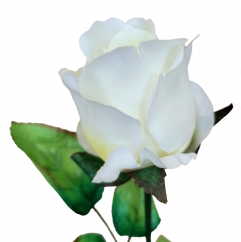 Umjetni pupoljak ruže na peteljci 64cm kremasti