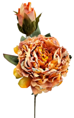 Sušení božur Exclusive 1+1 66cm umjetna narančasta