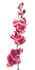 Luxus mesterséges orchidea x9 bordó 102cm szilikon, radír, művirág