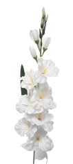 Gladiola kusová do vázy 78cm biela umelá