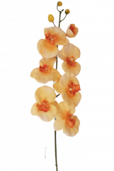 Umelá orchidea kusová 70cm peach