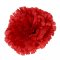 Szegfavirágfej Ø 7cm piros művirág - az ár 12 db-os csomagra vonatkozik