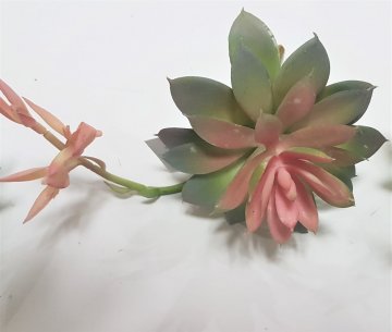 Pozsgások - Művirág - gyönyörű dekoráció minden alkalomra - Szín - krémszínű