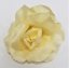 Główka kwiatu róży O 13cm kremowa sztuczna