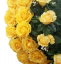 Smútočný veniec "Srdce" z Ruží 65cm x 65cm žltá umelý