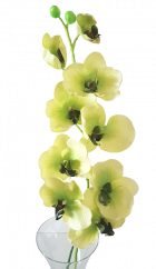 Luxuriöse künstliche Orchidee x9 Grün 95cm Silikon, Gummi