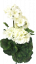 Umělý Muškát Pelargonie x9 bílá 45cm