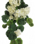 Umělý Muškát Pelargonie pnoucí "8" bílá 70cm