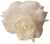 Artificial Rose Head O 3,9 inches (10cm) White